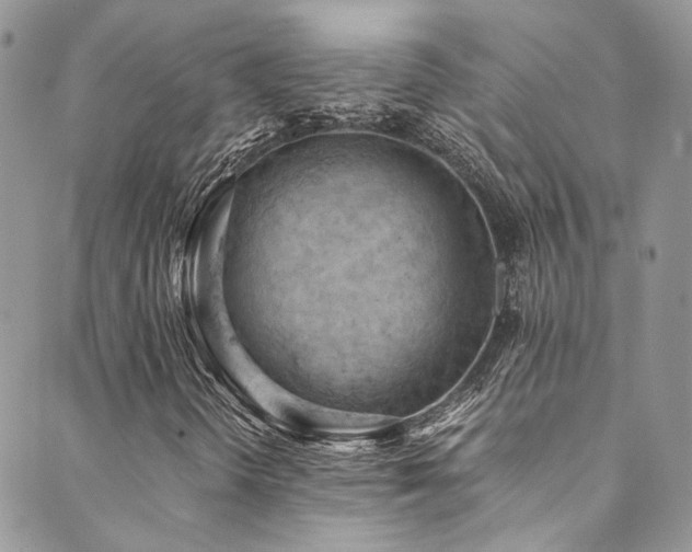 X0000089691298200706211240