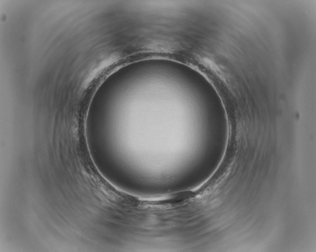 X0000089691307200706211240