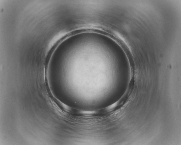 X0000089691320200706211240