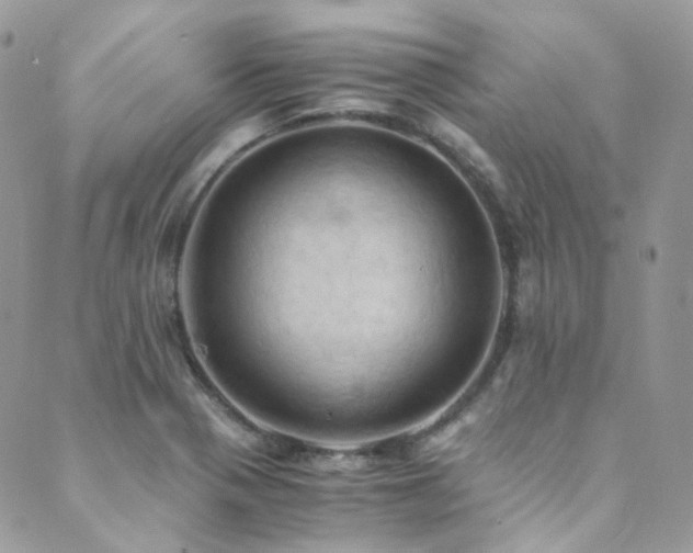 X0000089691321200706211240