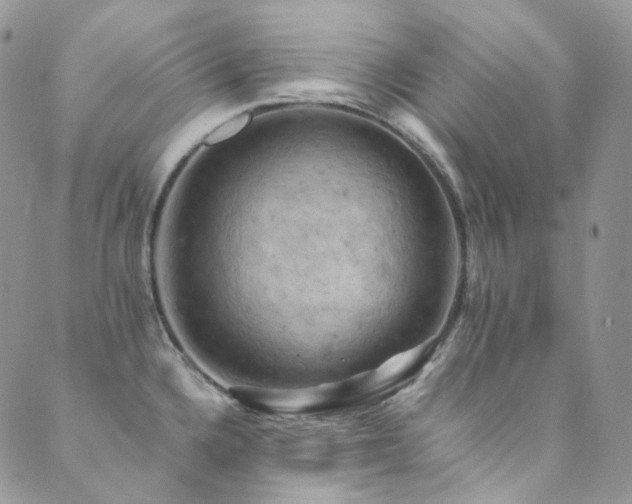 X0000089691336200706211240