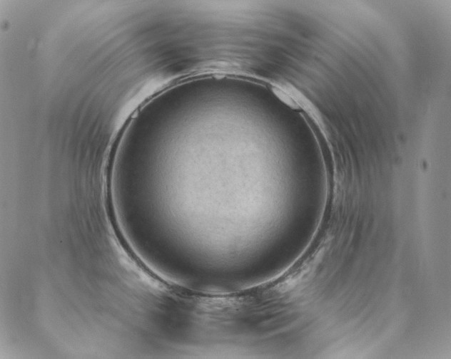 X0000089691341200706211240