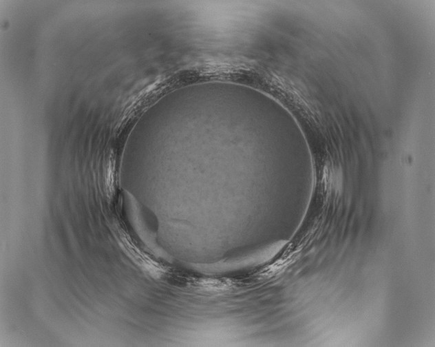 X0000089691348200706211240