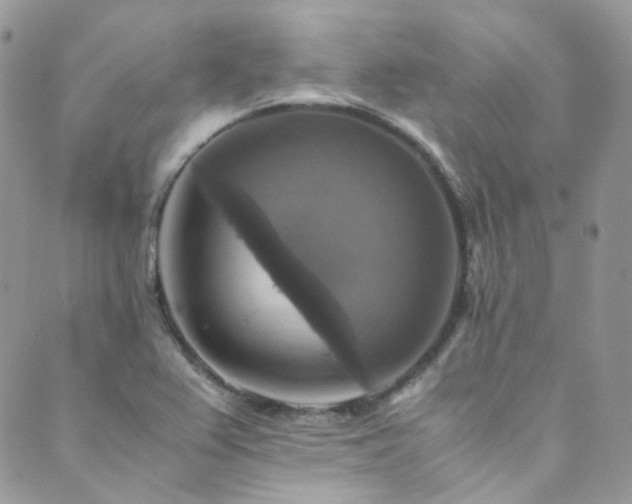 X0000089691367200706211239