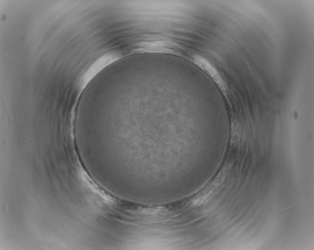 X0000089691386200706211239