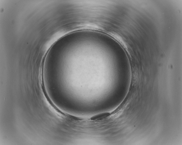 X0000089691391200706211239