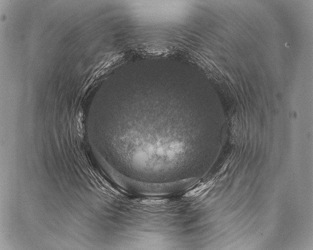X0000089691394200706211238