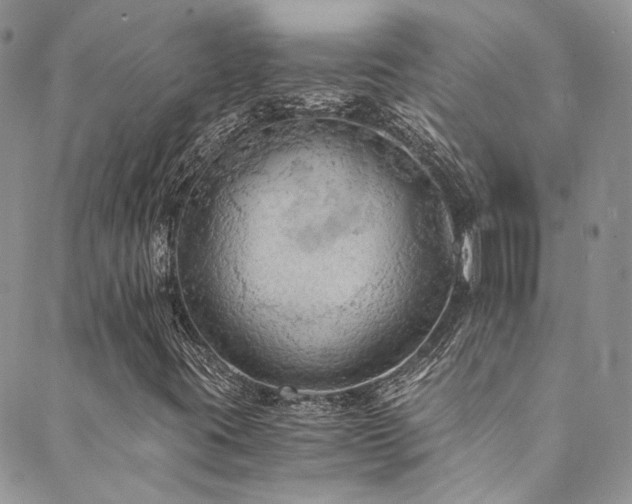 X0000089691395200706211238