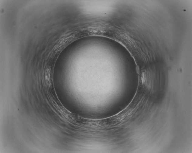 X0000089691396200706211238