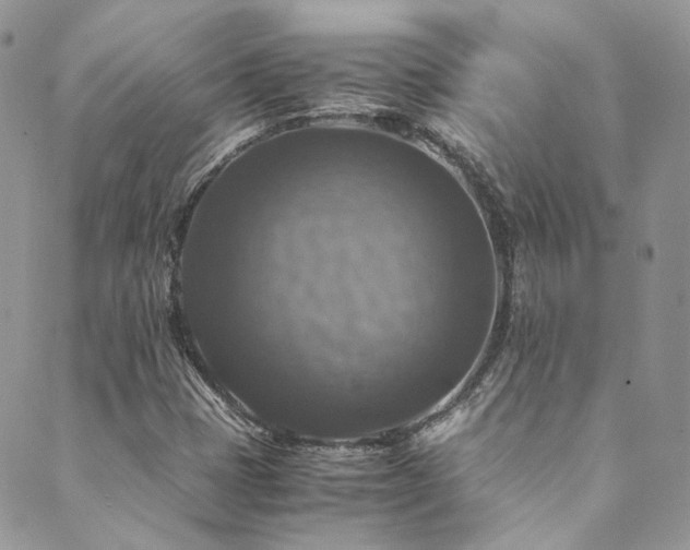 X0000089691401200706211238