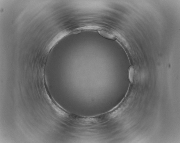X0000089691425200706211239