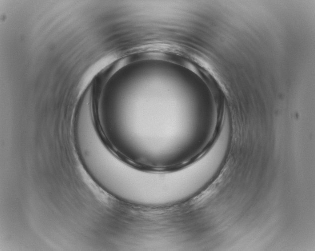 X0000089691426200706211239