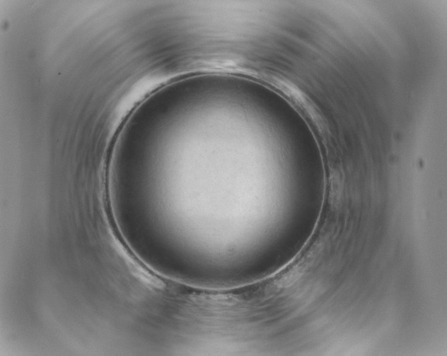 X0000089691432200706211239