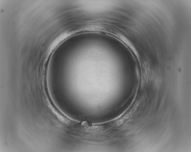 X0000089691437200706211239