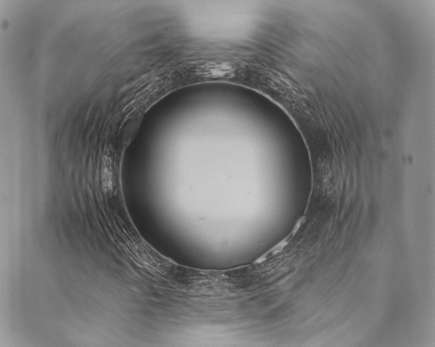 X0000089691442200706211238