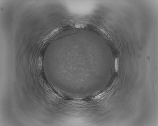 X0000089691443200706211238