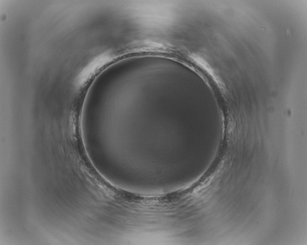X0000089691455200706211238
