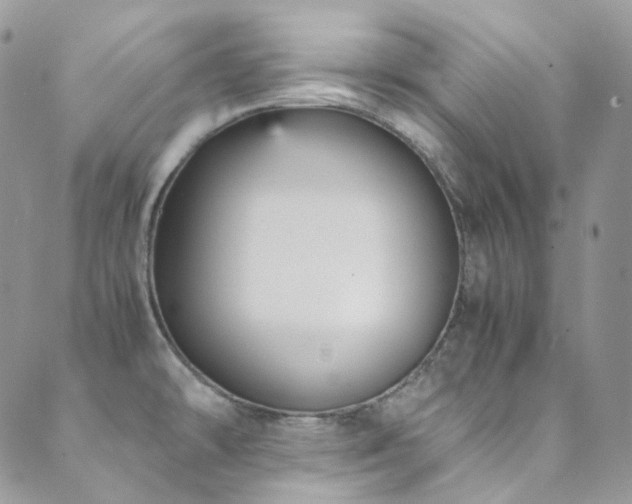 X0000089691478200706211237