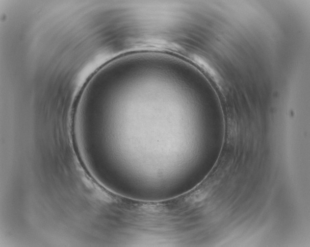 X0000089691480200706211237