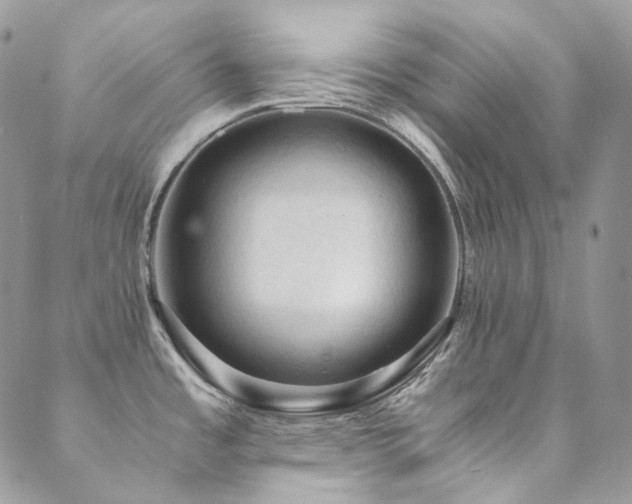 X0000089691485200706211237
