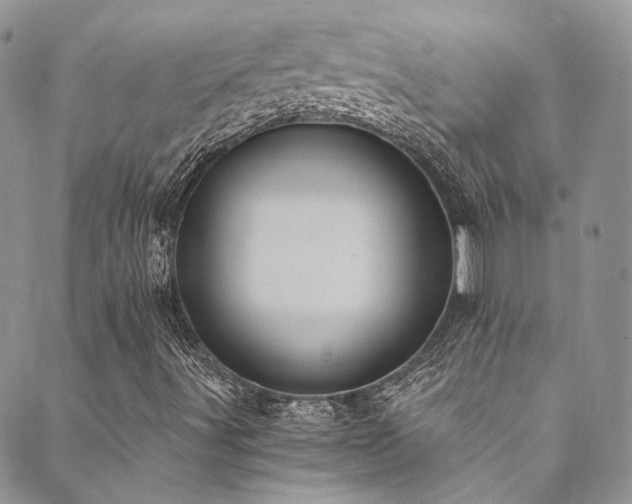 X0000089691491200706211237