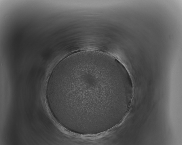 X0000089690001200706281424