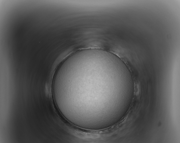 X0000089690004200706281424