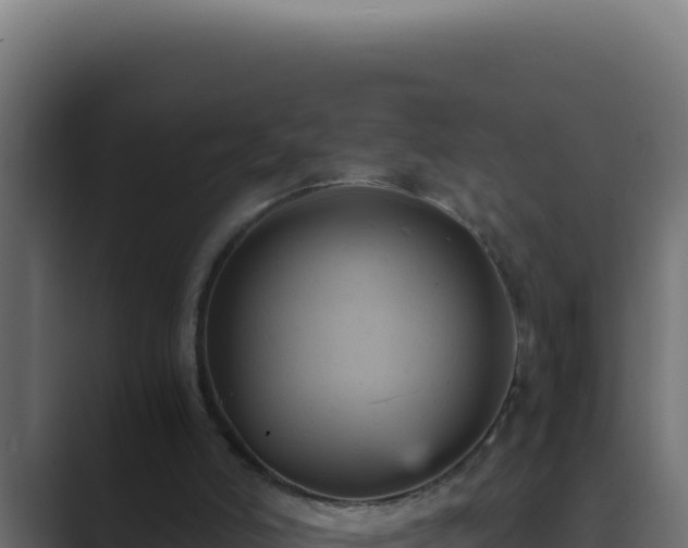 X0000089690006200706281424