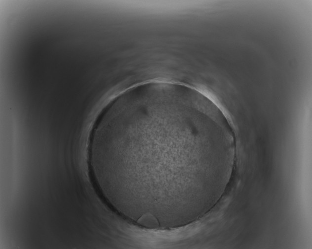 X0000089690007200706281424