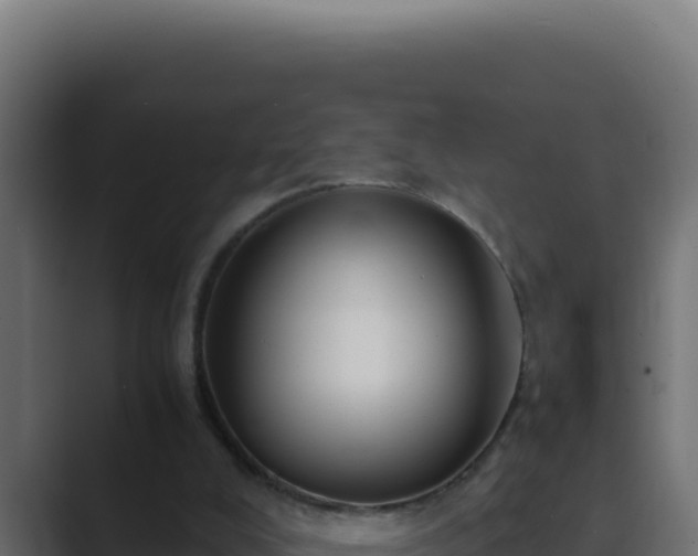 X0000089690008200706281424