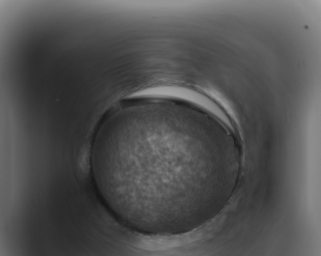 X0000089690009200706281424