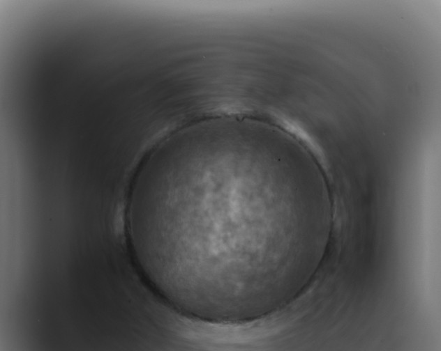 X0000089690010200706281424