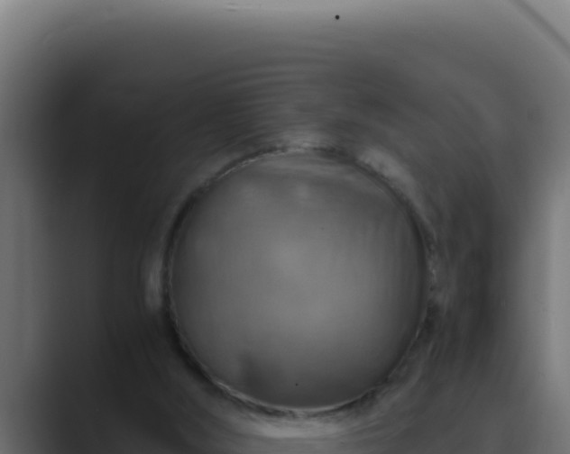 X0000089690012200706281424