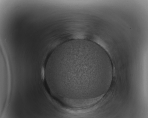 X0000089690013200706281424