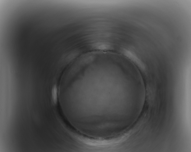 X0000089690014200706281424