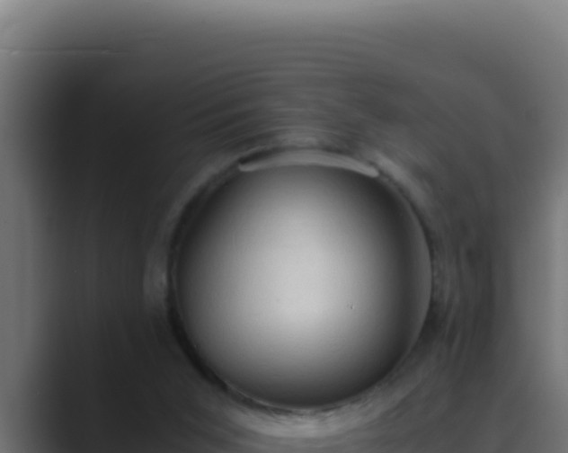 X0000089690015200706281424