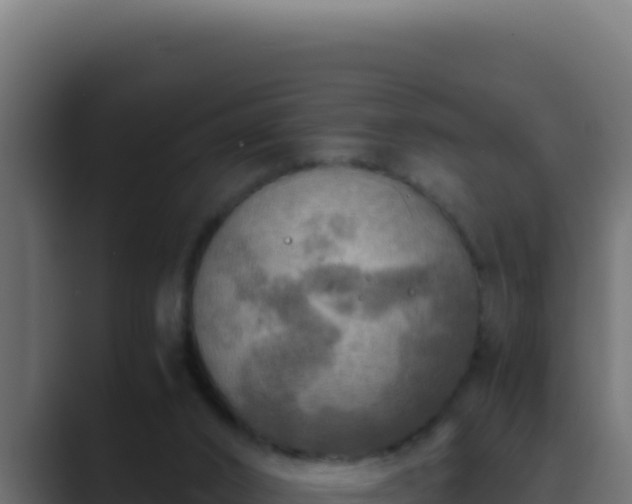 X0000089690016200706281424