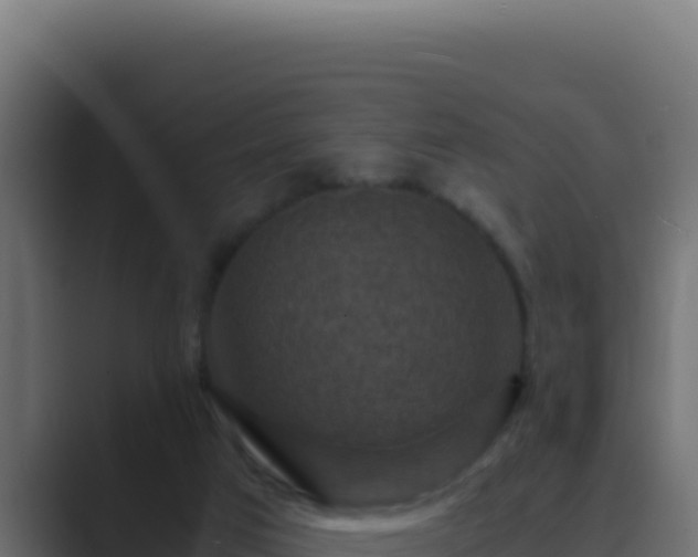 X0000089690017200706281424