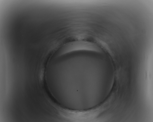 X0000089690018200706281424