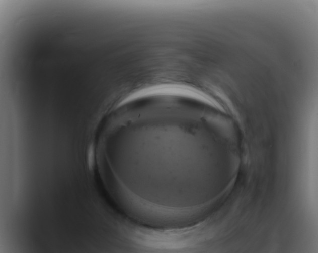 X0000089690019200706281424