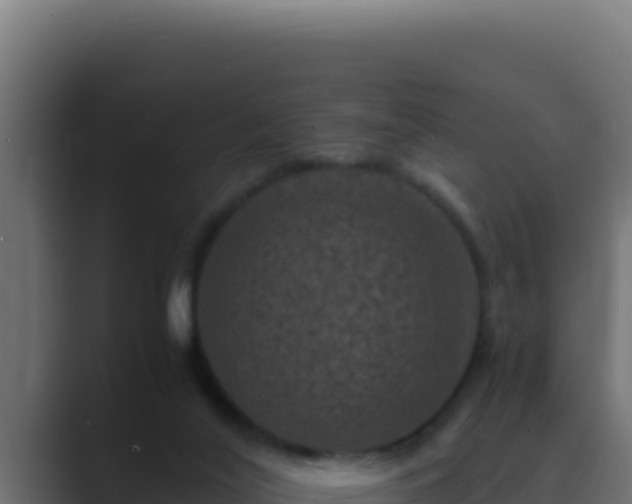 X0000089690020200706281424