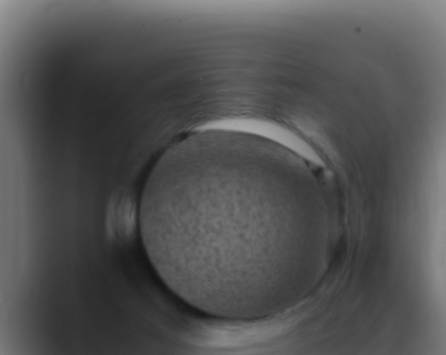 X0000089690021200706281424