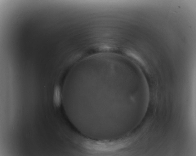 X0000089690022200706281424