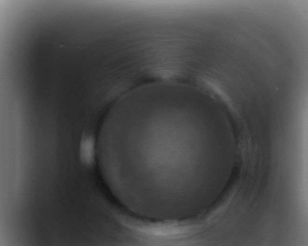 X0000089690024200706281424