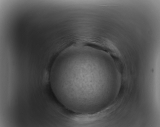 X0000089690025200706281424