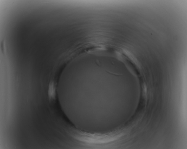 X0000089690026200706281424