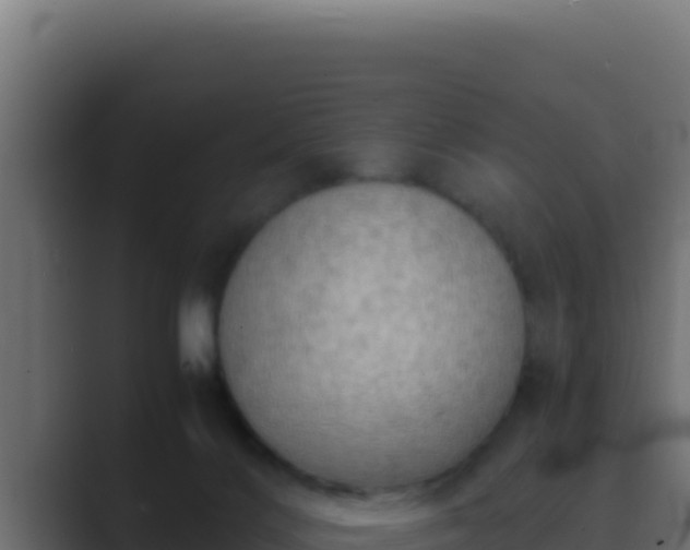 X0000089690028200706281424