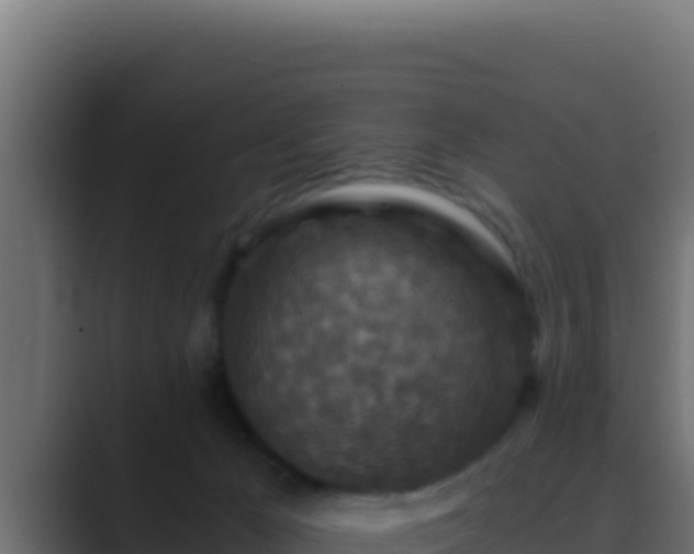 X0000089690029200706281424