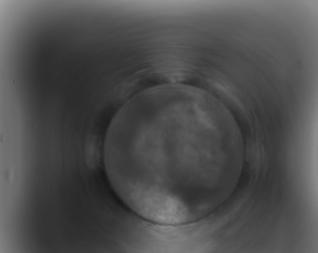 X0000089690030200706281423