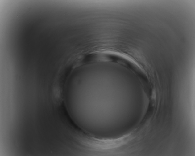 X0000089690031200706281423